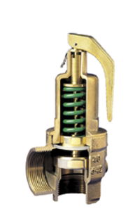 Figure 542 Safety Relief Valve 1"BSPP