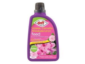 AZALIA CAMELLIA & RHODODENDRON FEED 1 LITRE