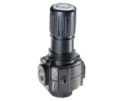 Excelon® Series 73 Relieving Regulator 3/8BSPP